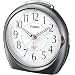 CASIO (�J�V�I) �ڊo�����v �A�i���O TQ-378-8JF