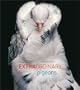 Extraordinary Pigeons