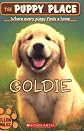 Goldie (Puppy Place, The)