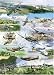 Battle for the Skies - Gibsons Jigsaw Puzzle - 1000 pieces