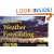 Instant Weather Forecasting