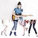 HELLO~Paradise Kiss~(���񐶎Y�����)(DVD�t)