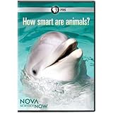 Nova Science Now: How Smart Are Animals