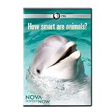 Nova Science Now: How Smart Are Animals
