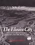 The Elusive City: Five Centuries of Design, Ambition and Miscalculation (Icon Editions)