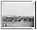 Historic Print (L): Cattle feeding on products, Eufaula Cotton Oil Mill, Eufaula, I.T.