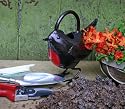 Robin Watering Can