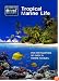 Discover the Blue - Tropical Marine Life