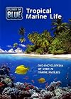 Discover the Blue - Tropical Marine Life