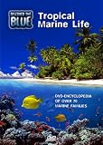 Discover the Blue - Tropical Marine Life