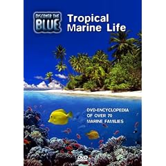 Discover the Blue - Tropical Marine Life by 