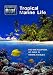 Discover the Blue - Tropical Marine Life