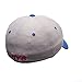 NHL Zephyr New York Rangers Mens The Athlete Z-Fit Hat, Medium/Large, Grey/Royal