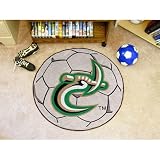 North Carolina (Charlotte) 49ers 29" Round Soccer Ball Floor Mat (Rug)