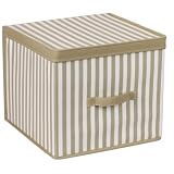 Whitney Design 1542 Large Storage Box with Lid, Green Stripe