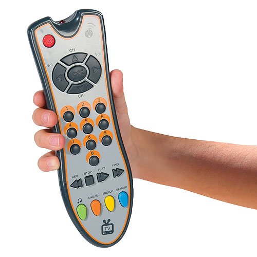 Silly Surfer Remote