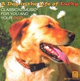 Classical Music For You And Your Dog - A Day In The Life Of Lucky