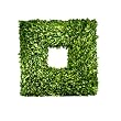 Preserved Boxwood Wreath Square 22
