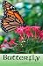 Books : Butterfly