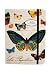 Cavallini Nature Notebook with Elastic Closure - 6x8"