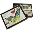 Cavallini Boxed Magnets Set: Butterflies Butterfly Theme Vintage images 24 piece set