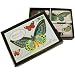 Third Party New : Cavallini Boxed Magnets Set: Butterflies Butterfly Theme Vintage images 24 piece set
