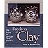 Brothers in Clay: The Story of Georgia Folk Pottery (Brown Thrasher Books)