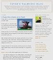 Tzvee's Talmudic Blog