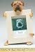 Bull Mastiff-2.5x3.5 Picture Frame
