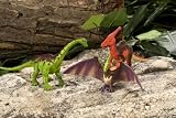 Dinosauria Series 3 Boxed Set: Pteranodon, Diplodocus, Parasaurolophus - 4 to 5 inches long