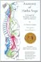 Anatomy Of Hatha Yoga
