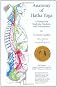 Anatomy of Hatha Yoga: A Manual for Students, Teachers, and Practitioners