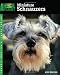   - Miniature Schnauzers (Animal Planet)