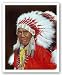 Chief Daniel Boone Hornbuckle by Howard Burger 20"x16" Art Print Poster