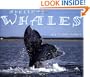 Adelina's Whales