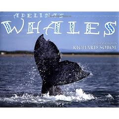 Adelinas Whales