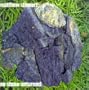 No Stone Unturned