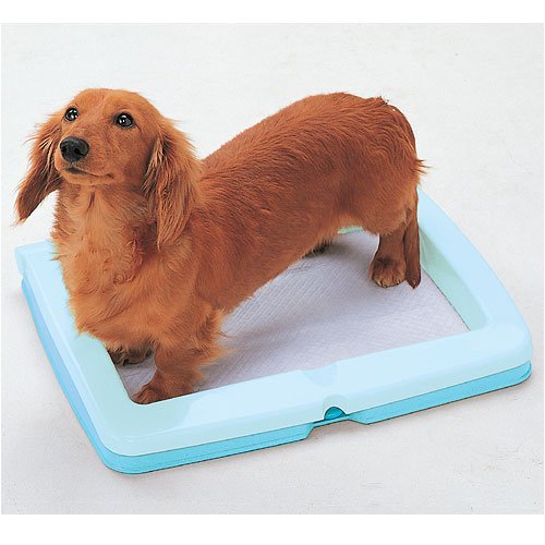 アイリスオーヤマ わんタッチ犬トイレレギュラーON-330Rあじさいブルー
