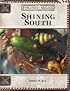 Shining South (Dungeon & Dragons d20 3.5 Fantasy Roleplaying, Forgotten Realms Supplement)