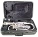 Signature Music Brand New Silver (Nickel) Baritone Horn 2421N