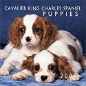Cavalier King Charles Spaniel Puppies 2002 Mini Wall Calendar
