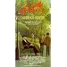 Little Romance [VHS]
