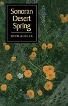 Sonoran Desert Spring