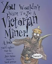 You Wouldn't Want to be a Victorian Miner (You Wouldn't Want to be...)