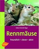 Rennmaeuse: Freundlich - clever - aktiv