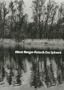 Albert Renger-Patzsch: Late Work