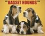 Just Basset Hounds Calendar