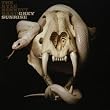 Grey Sunrise (Lyrics included with album)