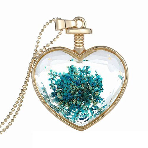 Bling Stars Dried Pressed Flower Living Memory Charms Locket Heart Pendant Necklace