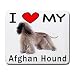 I Love My Afghan Hound Mouse Pad